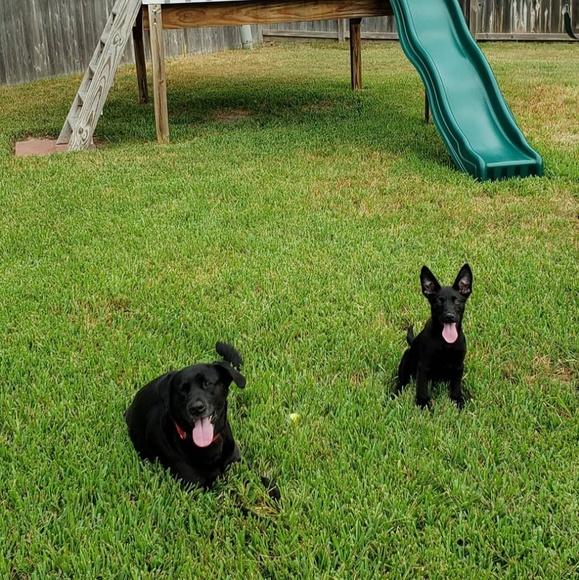 Aloha y’all! 👋🏼 ♥️ bry rhymes with 🍟 - Picture 12 of 14